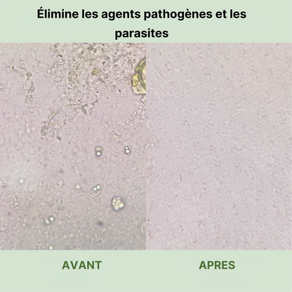Oregamix - Bien être digestif et immunité