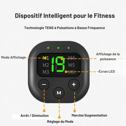 Electro Stimulateur Nutrive